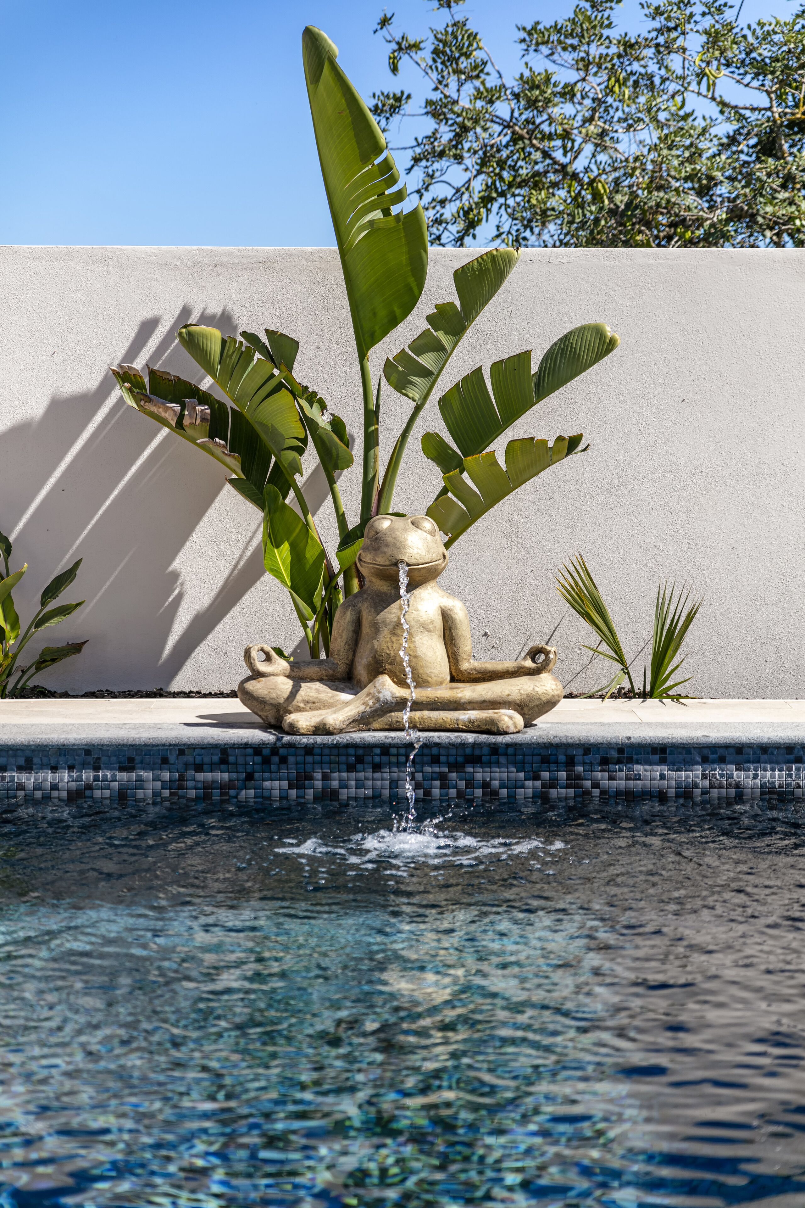 A meditative statue by a pool with large leaves and a clear blue sky in the background.