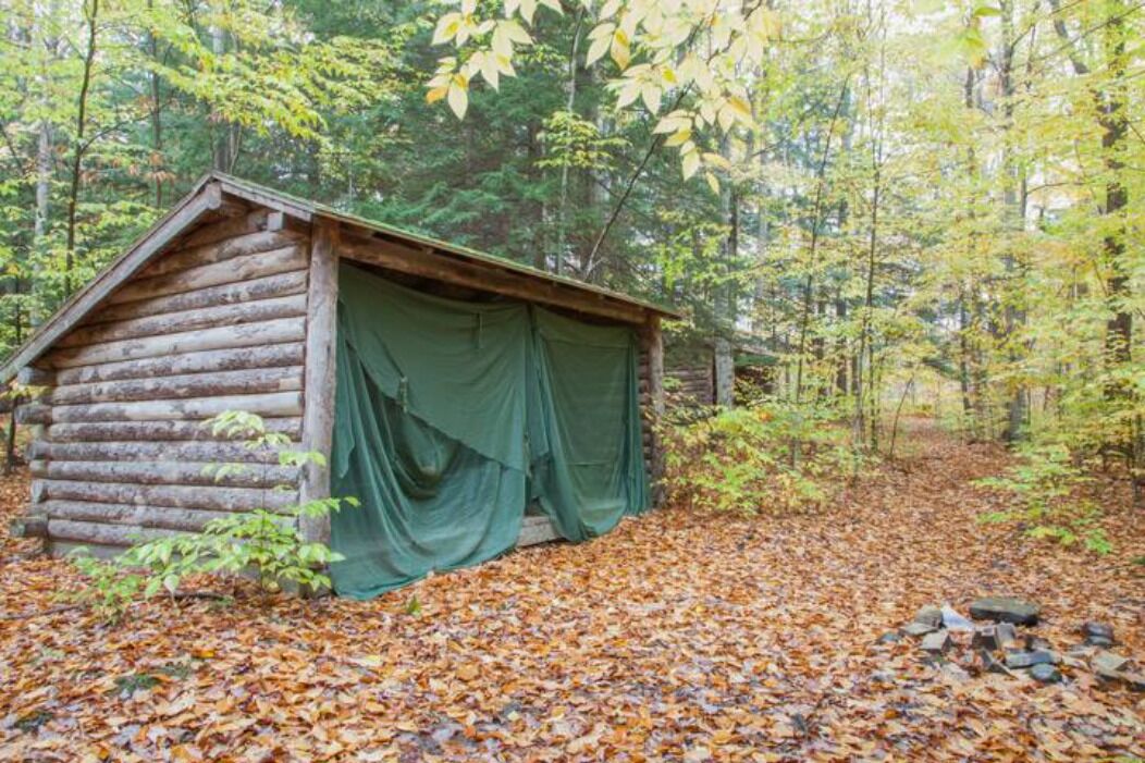 Eine rustikale Blockhütte mit einer grünen Plane vor dem Eingang, umgeben von einem mit Herbstlaub bedeckten Waldboden.