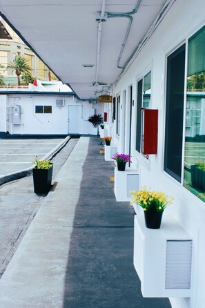A clean, modern hotel corridor with white walls, large windows, and potted plants along the walkway. - Nirvana Hotel (Las Vegas)