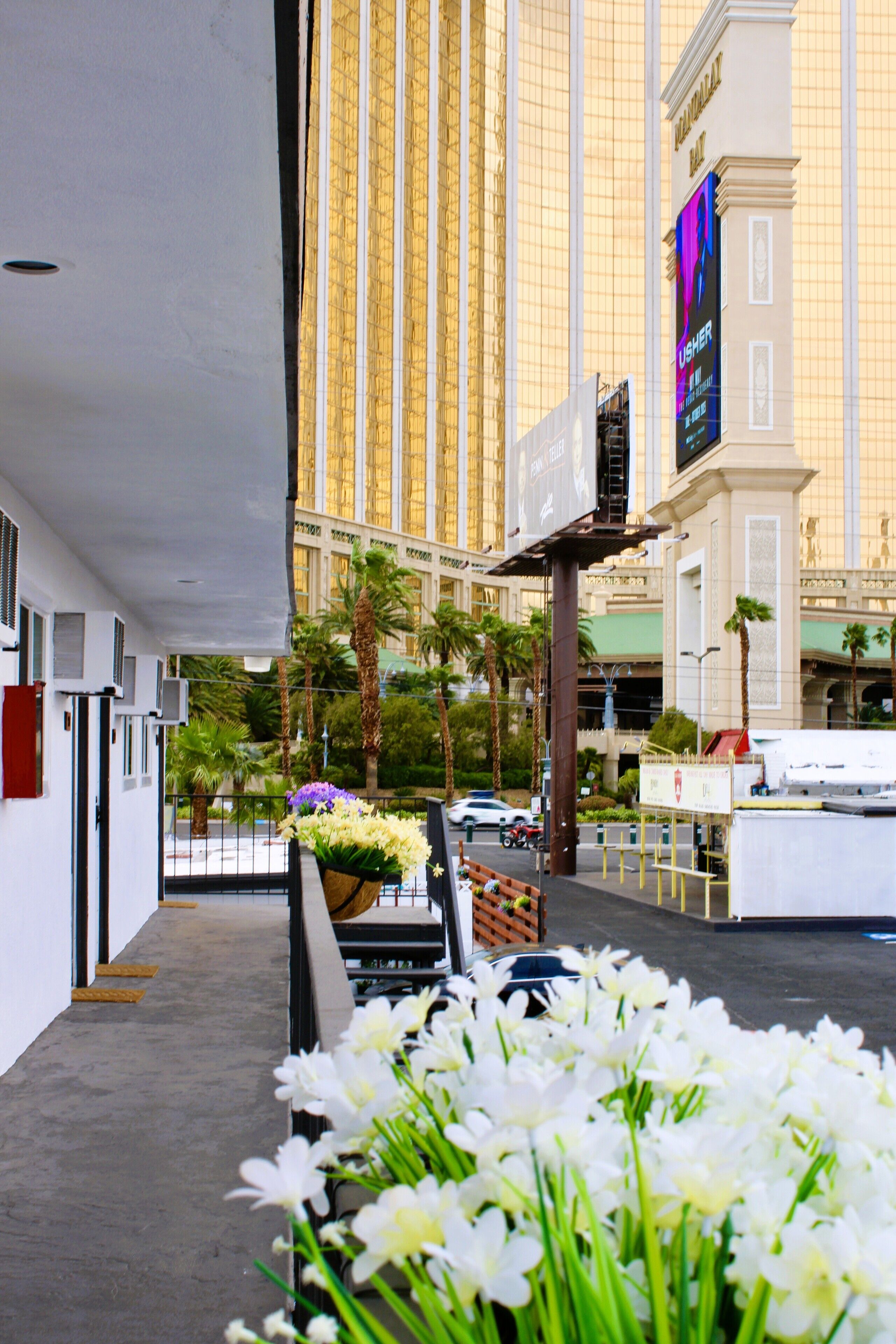 Foto - Nirvana Hotel