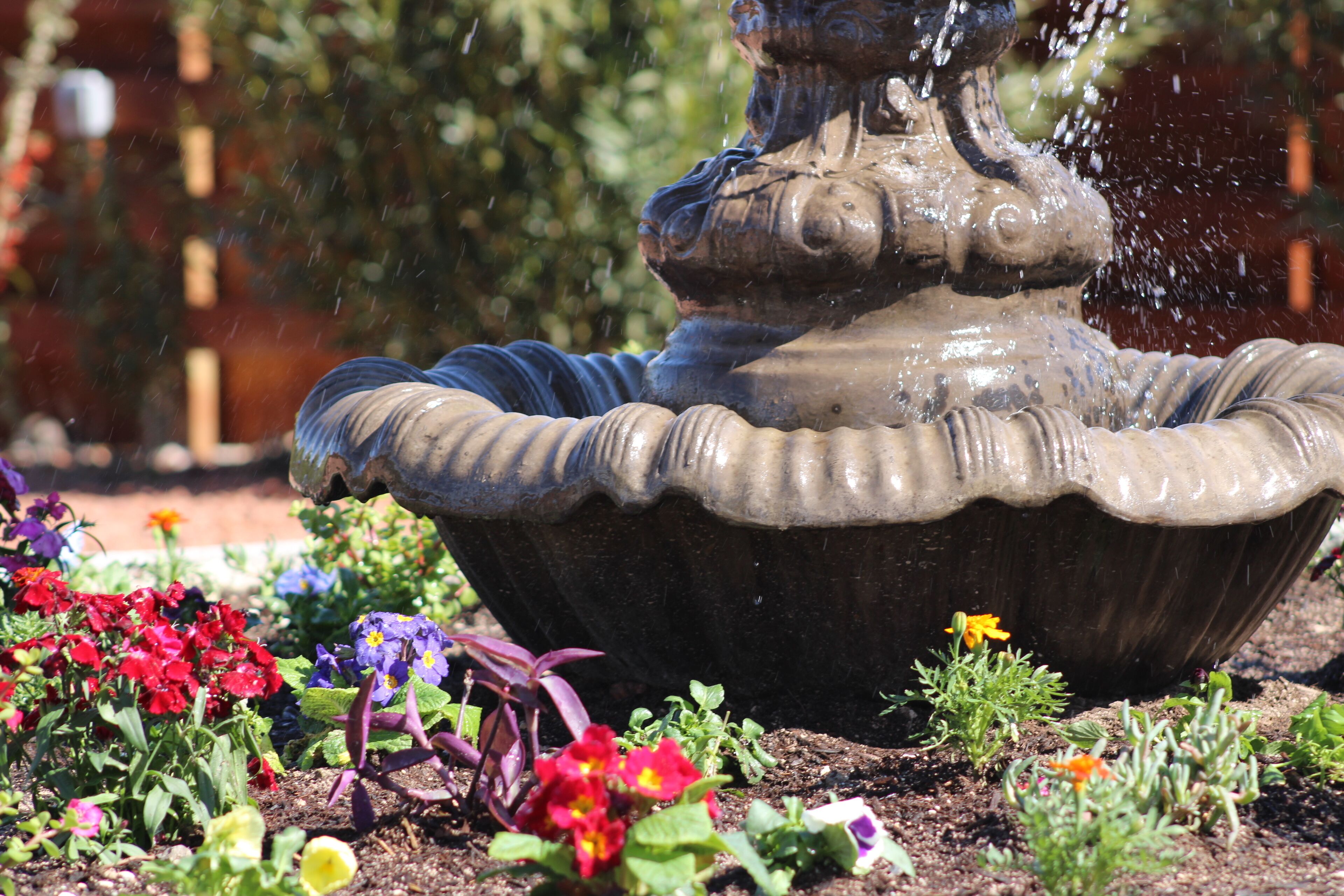 Foto - Nirvana Hotel