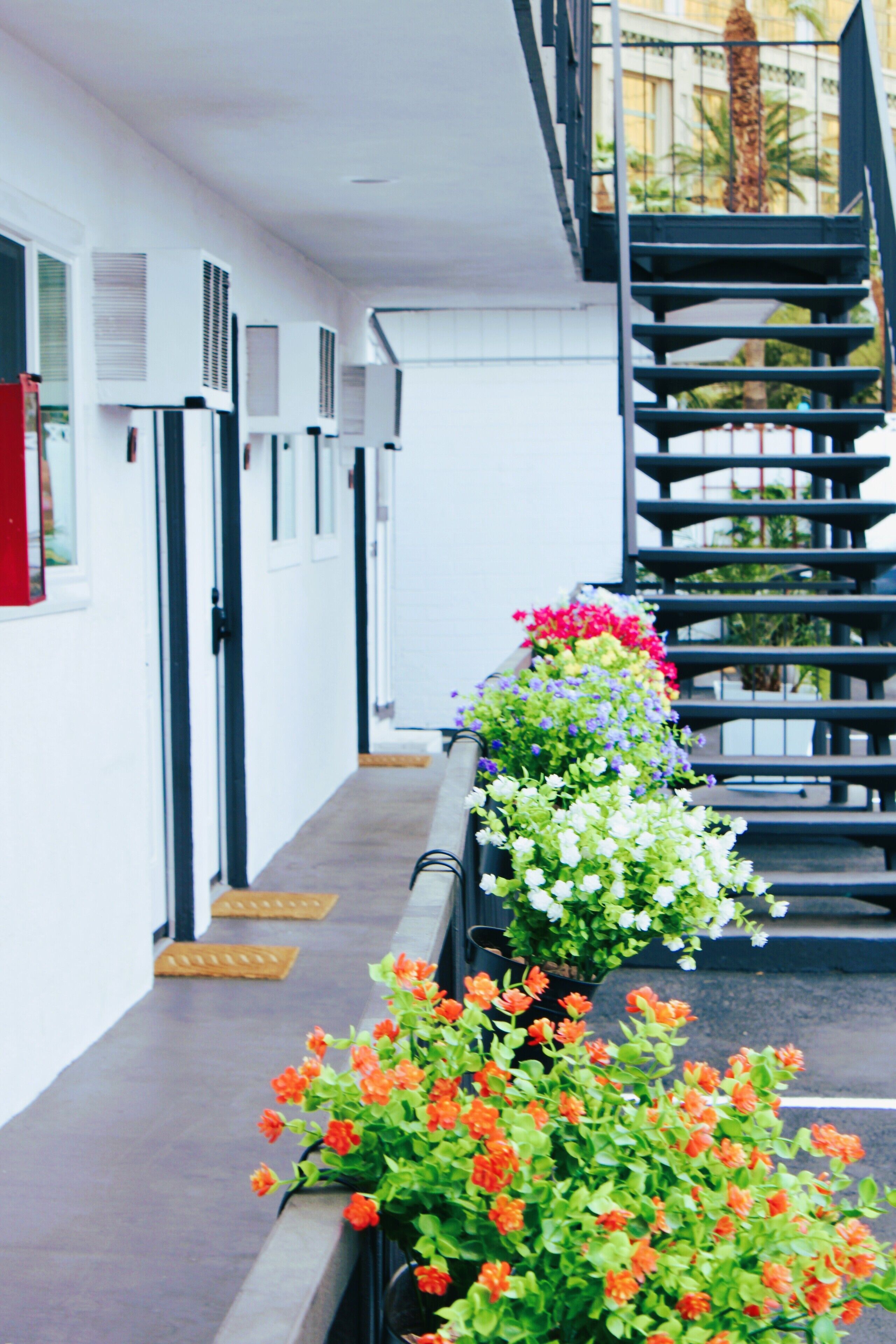 Foto - Nirvana Hotel