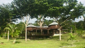 A wooden structure with a covered deck, surrounded by lush greenery and trees.