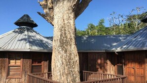 A rustic building with a large tree in front, wooden fences, and metal roofs.
