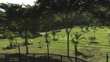Alberca