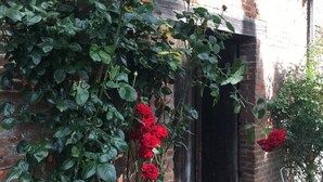 Un edificio in mattoni con un roseto che sale lungo la parete.