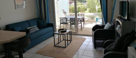 Télévision, lecteur de DVD, table de tennis de table, livres