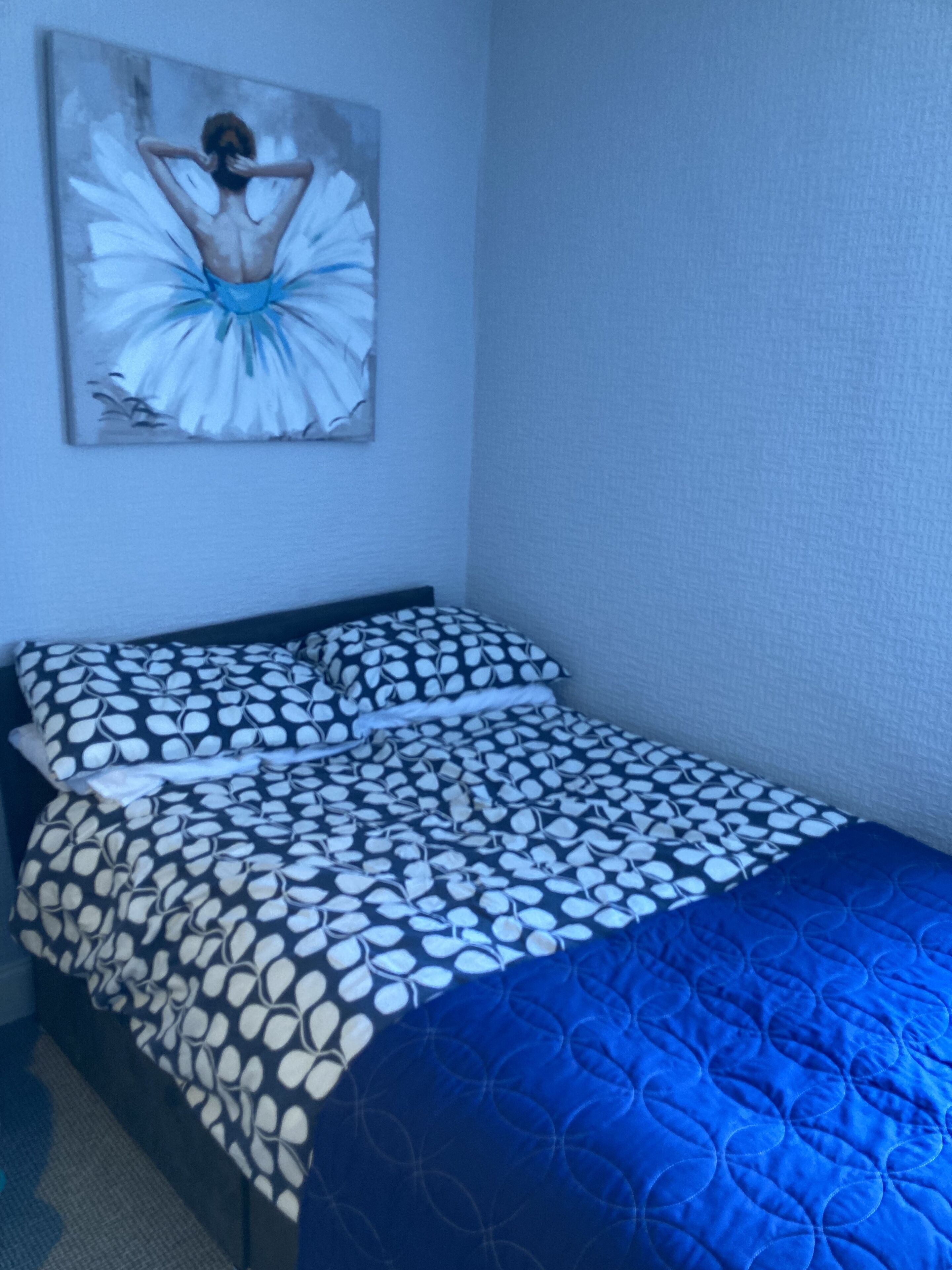 Ett sovrum med en säng som har ett mönstrat överkast, ett blått täcke och en tavla med en balerinamotiv som hänger på väggen.