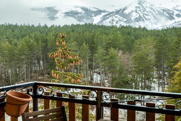 A balcony with a view of a forest and snow-capped mountains.