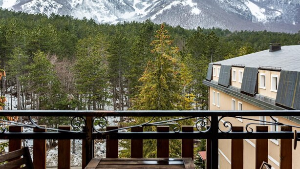 A balcony with a view of snow-capped mountains, a forest, and a building with a sloped roof.