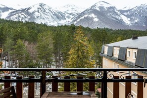 A balcony with a view of snow-capped mountains, a forest, and a building with a sloped roof.