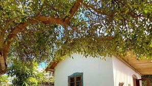 Un pequeño edificio blanco con ventana y puerta, rodeado de vegetación y un sendero de piedra.