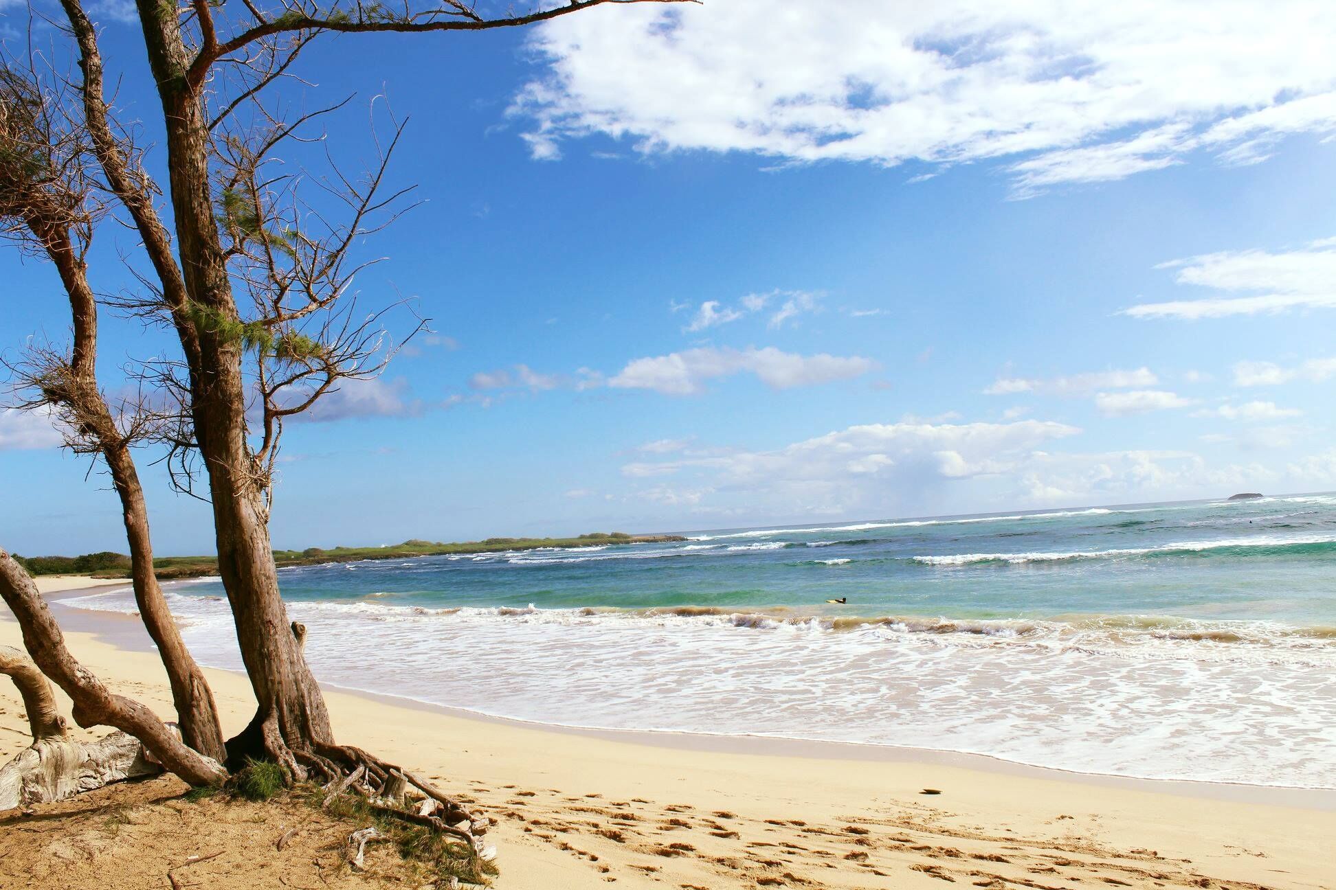 Country Family Estate- Spacious home and  2 min from beach! Last Min Discounts