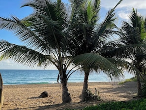 Beach nearby