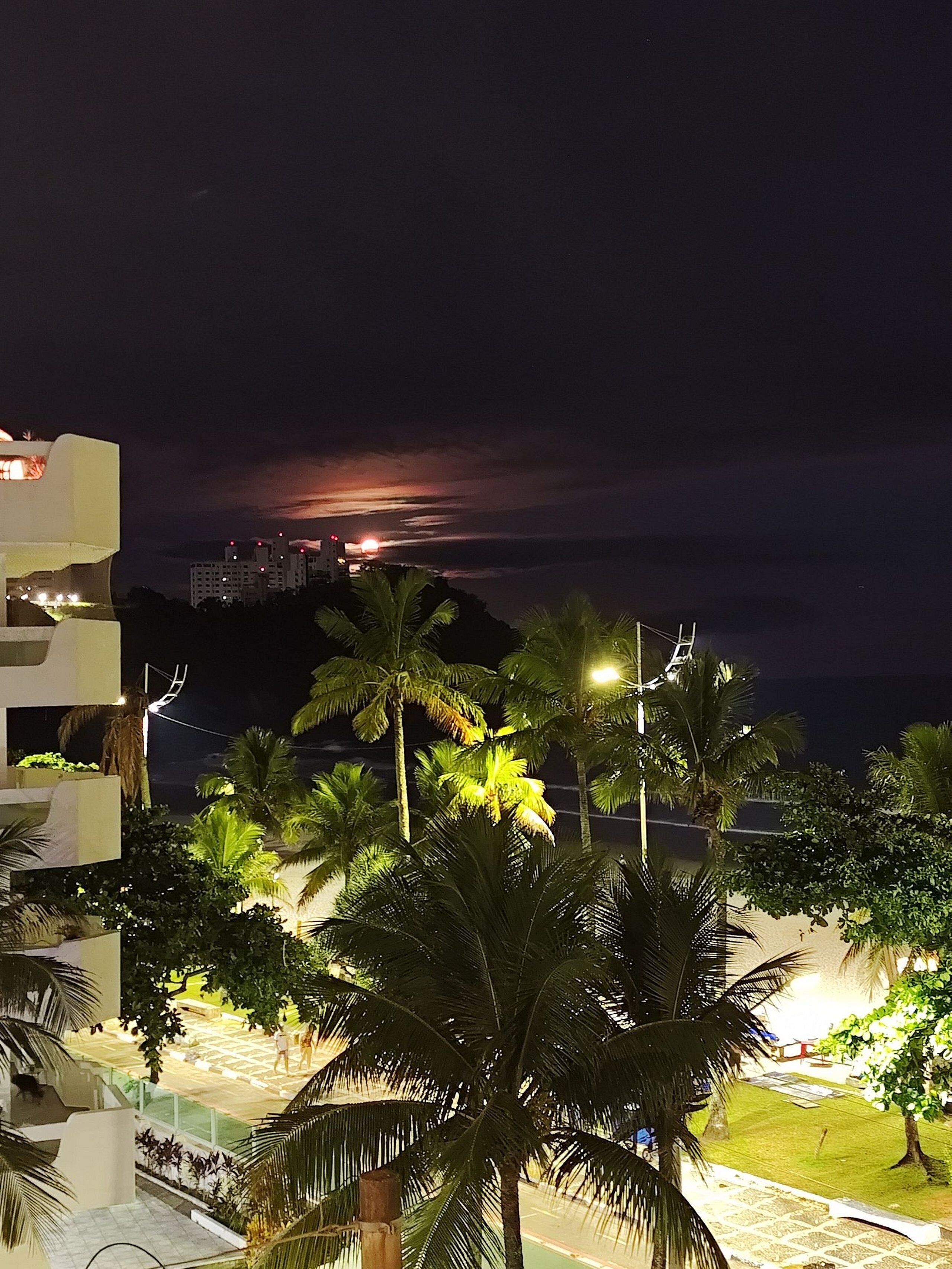 Apartamento | Área da propriedade