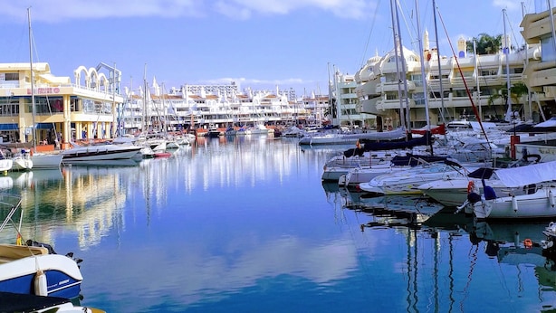 A marina with multiple boats docked, a clear sky, and buildings in the background.