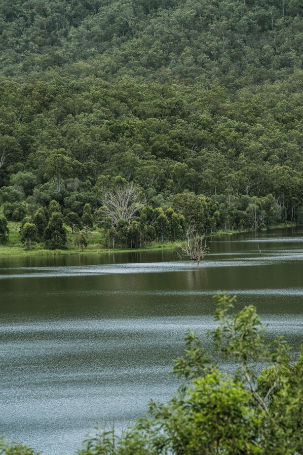 A lake surrounded by dense forest. - Wander in the Scenic Rim (Wyaralong)