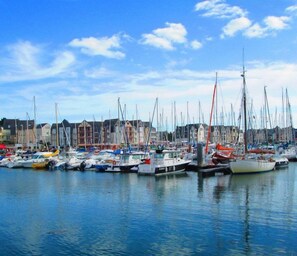 A marina with numerous boats docked, a clear sky, and buildings in the background.