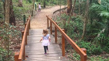 Hiking