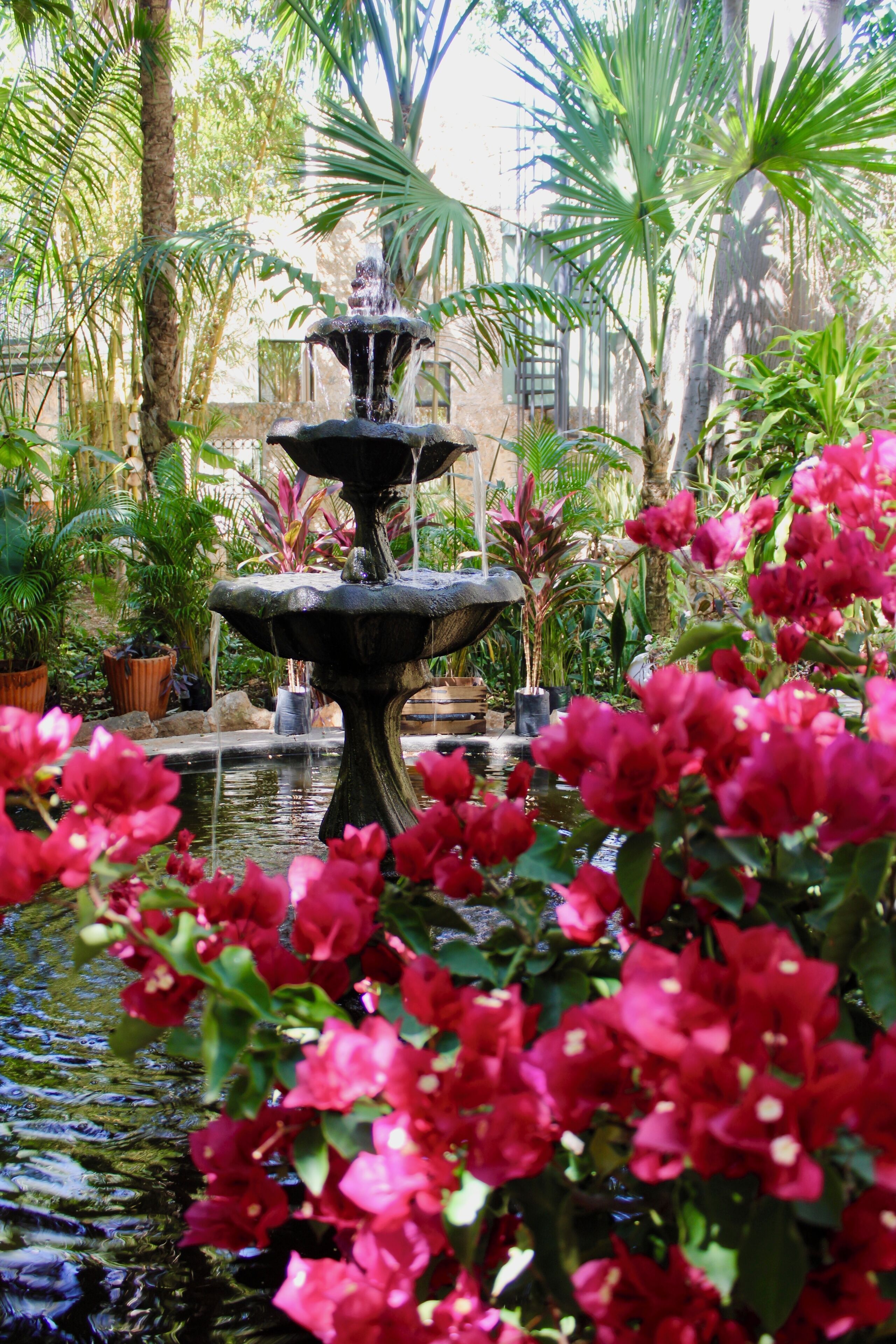 Foto - Villa Merida Luxury Mansion - Adults Only Boutique Hotel