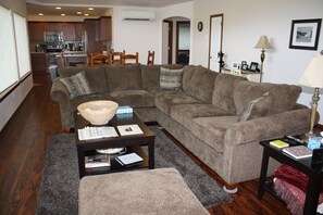 TV, DVD player, books, video library
