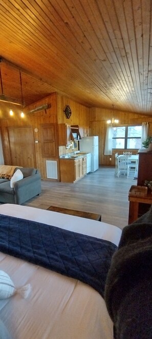 Smart TV, fireplace - Riverfront Blue Heron Cabin on the Kings River (Berryville)
