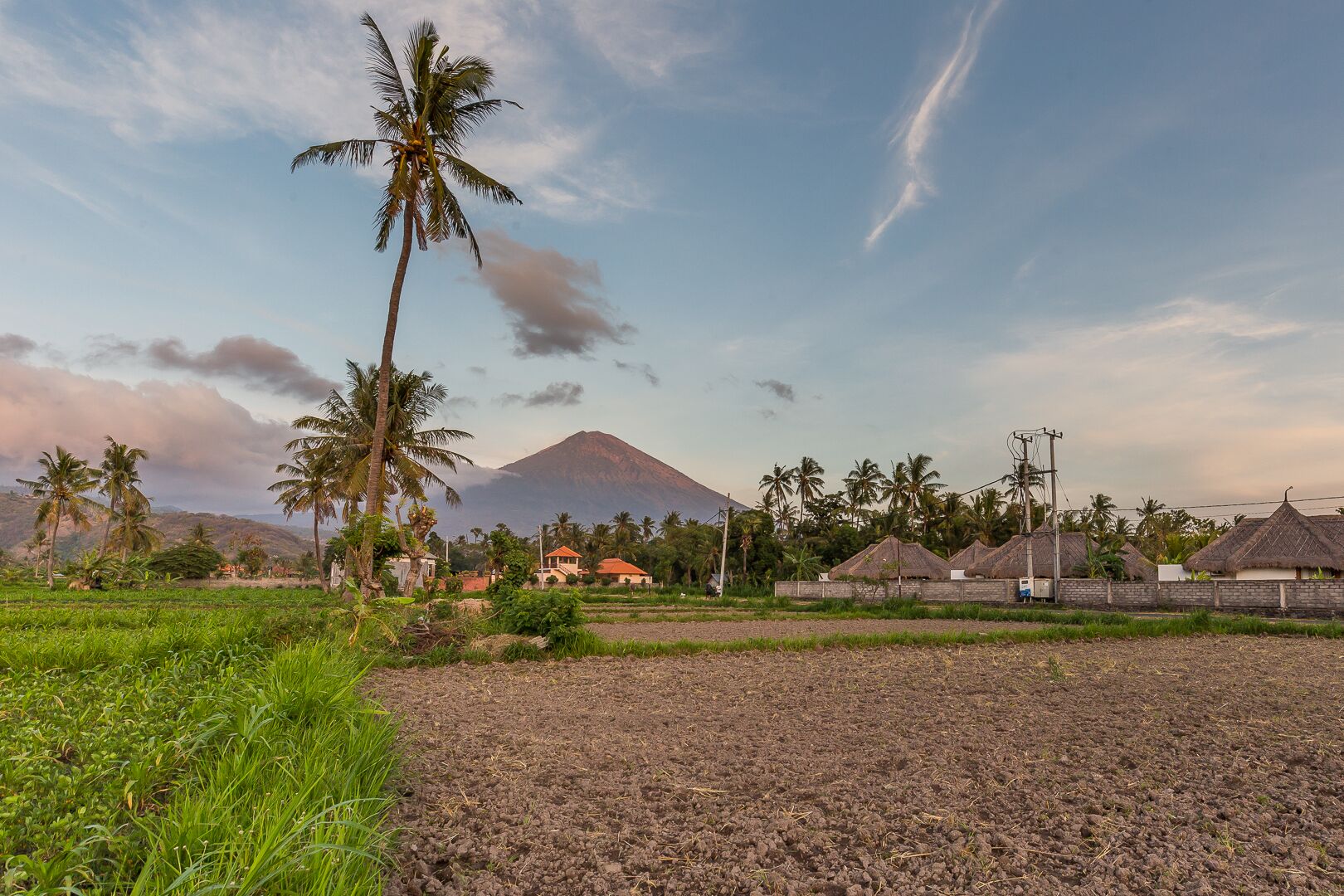 A rural landscape with a mountain in the background, palm trees, and thatched-roof huts.