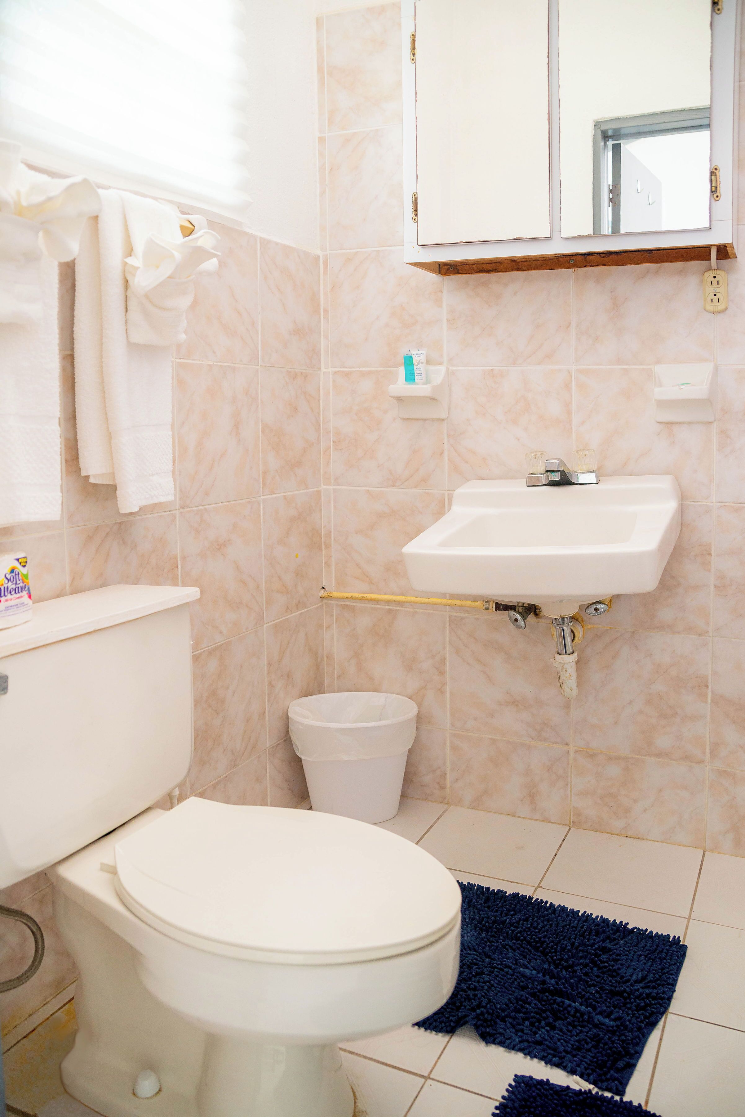 Ein Badezimmer mit Toilette, Waschbecken und einem Spiegel darüber.