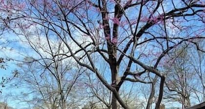 Charming 1940s Bungalow Cozy Vibes & Vintage Style