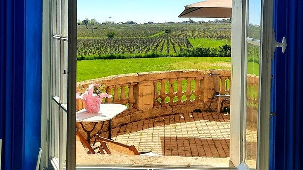 A room with a large window opening to a vineyard.