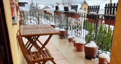 Vila Domm in Rakovica