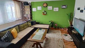 A living room with a green wall, a sofa, a coffee table, a TV, and a bookshelf. - Vila Domm in Rakovica (Rakovica)