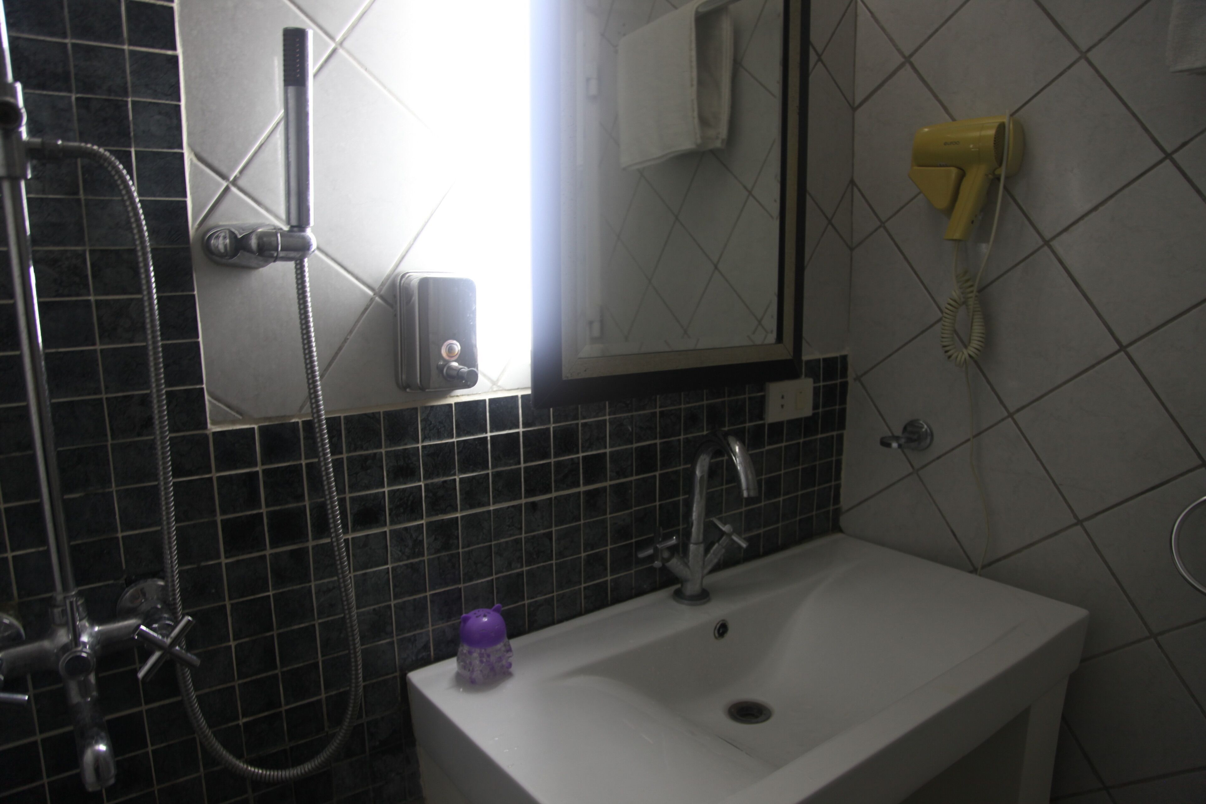 A bathroom with a white sink, a handheld showerhead, a hairdryer mounted on the wall, and a mirror above the sink.
