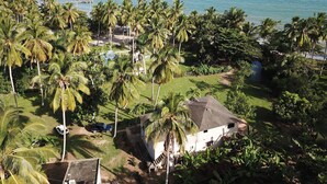 A coastal property with a view of the ocean, surrounded by palm trees and a small white house with a dark roof. - Relaxing Beachfront Apartment steps to the beach (las pascualas)