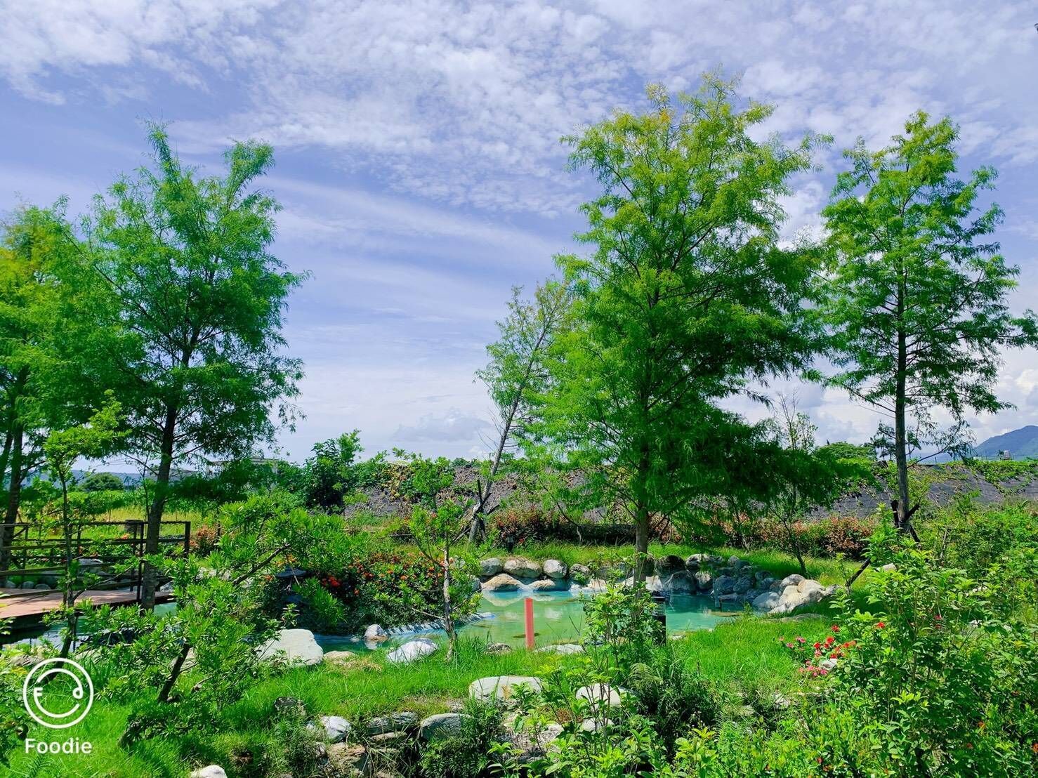 A serene outdoor setting with a natural pool, surrounded by lush greenery and trees.