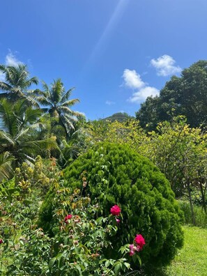Garden view - Paul's Residence (Mahé Island)