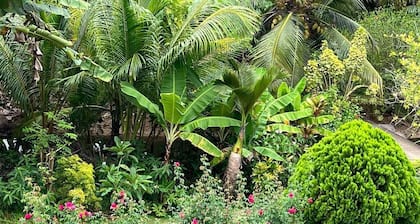 Paul's Residence