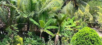 Paul's Residence