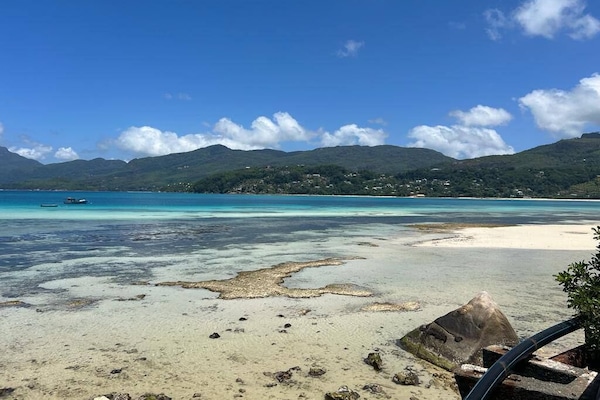 Plaj/okyanus manzarası