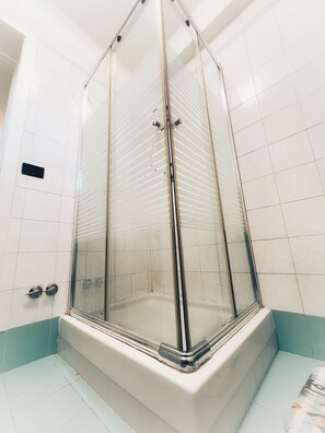 Shower, hair dryer, bidet, towels