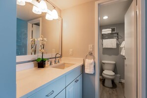 Regadera, secadora de cabello, shampoo 