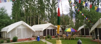 Lumbini Camp- Nubra Valley