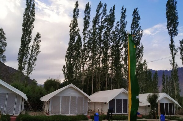 A row of white tents with a green flag, surrounded by tall trees and mountains in the background. - Lumbini Camp- Nubra Valley (Leh)