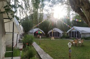 A campsite with tents, a grassy area, and a pathway. - Lumbini Camp- Nubra Valley (Leh)