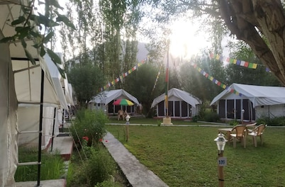 Lumbini Camp- Nubra Valley