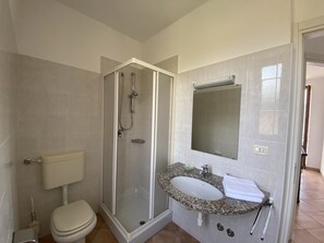 A bathroom with a toilet, a shower enclosure, and a sink with a mirror.