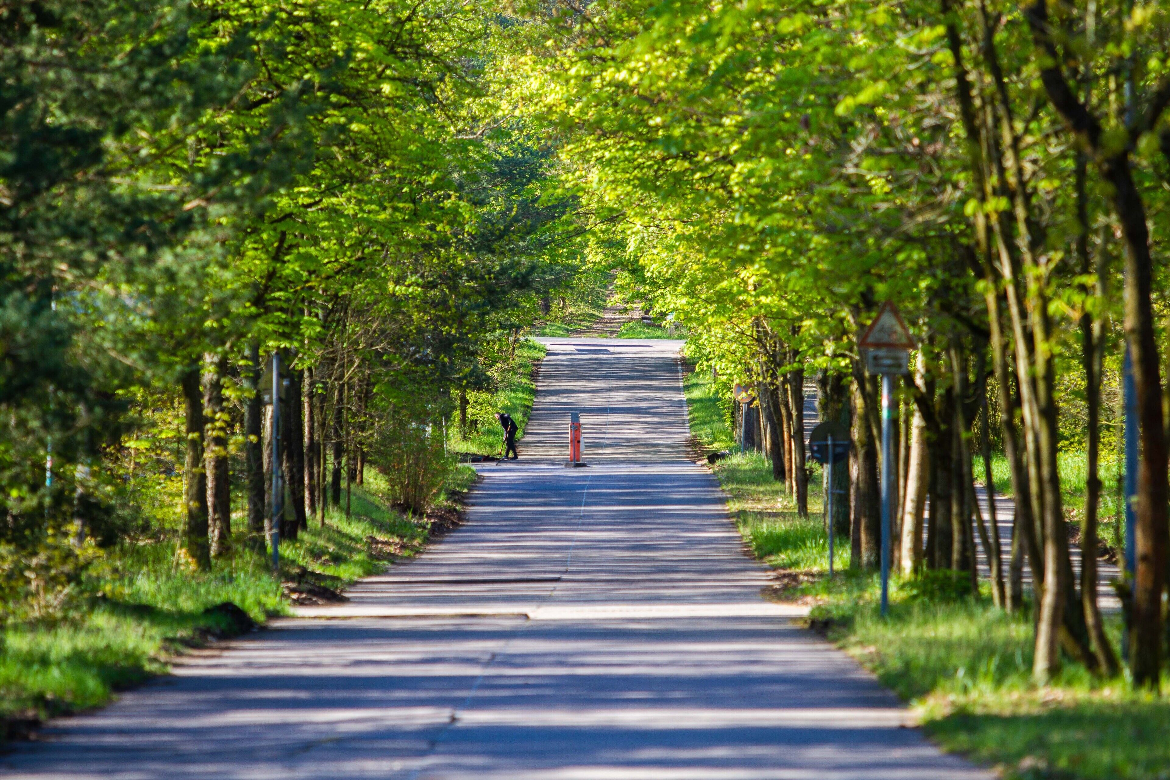 Foto - Müggelseeperle
