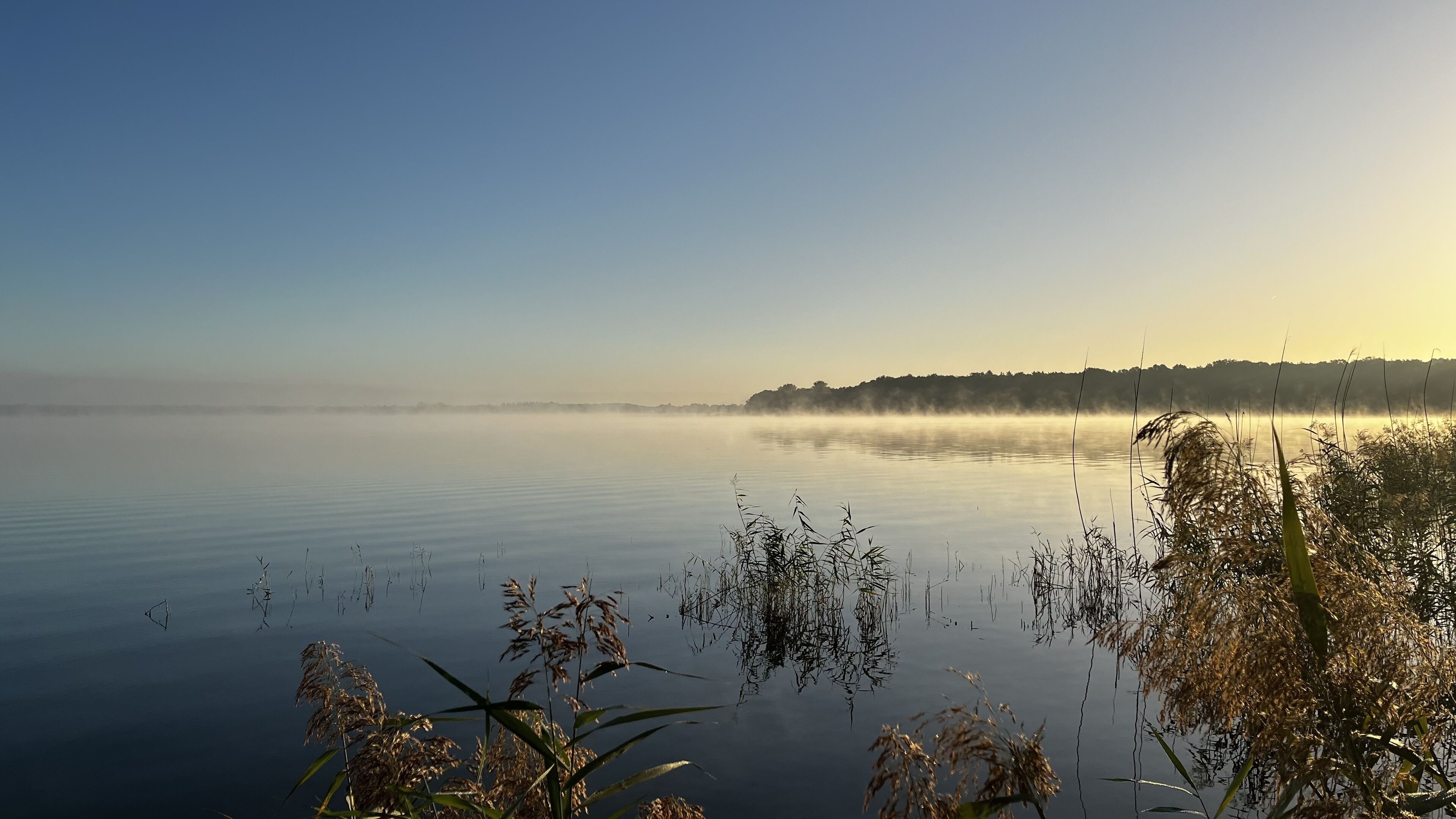 Foto - Müggelseeperle