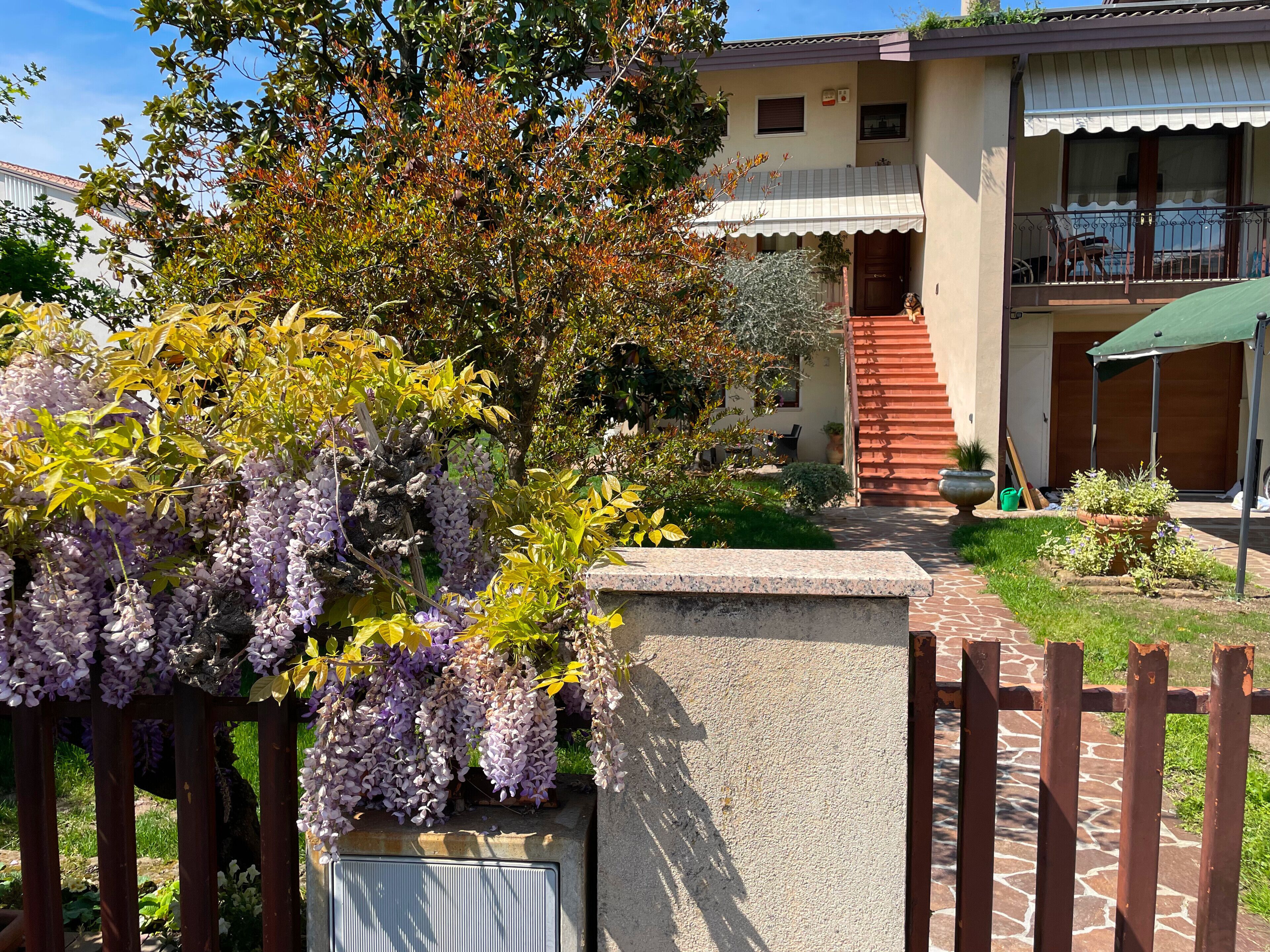 Uma casa com jardim, cerca de madeira e escadaria para uma varanda.