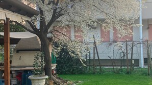 A tree with white blossoms in a backyard with a barbecue grill and a building in the background.